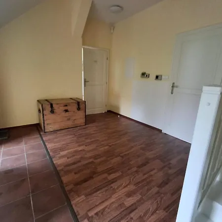 8 Personen Appartamento Goltsch Jenikau